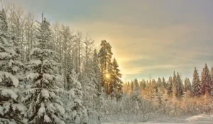Inverno