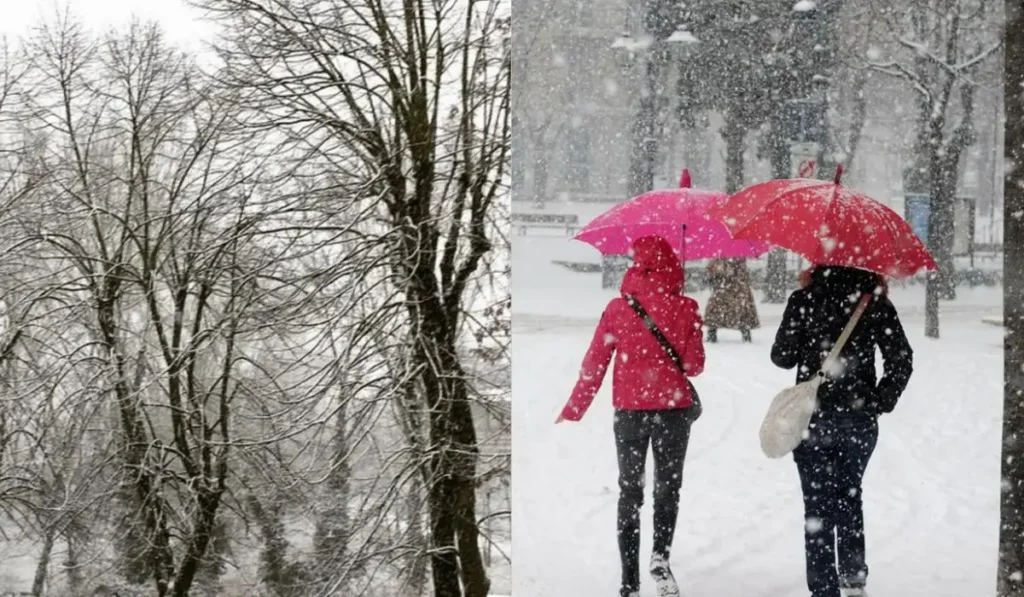 Neve Previsioni