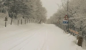 allerta meteo 28 gennaio 2026