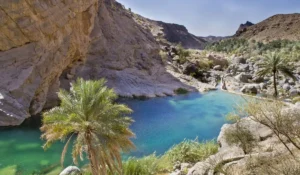 oman pays