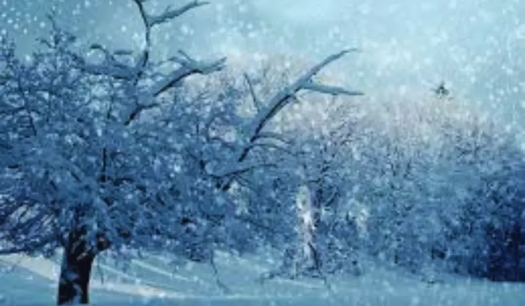 previsioni meteo neve