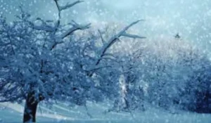 previsioni meteo neve