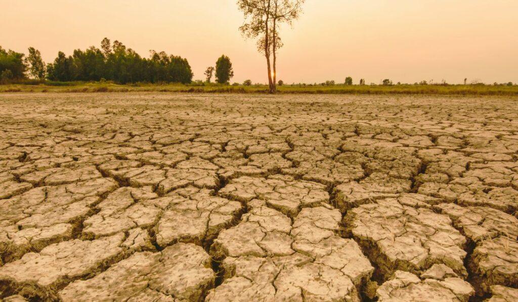 El Niño sta per tornare