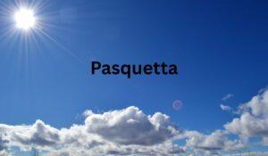 Pasquetta