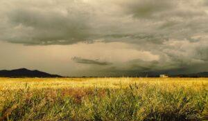 Temporale in arrivo