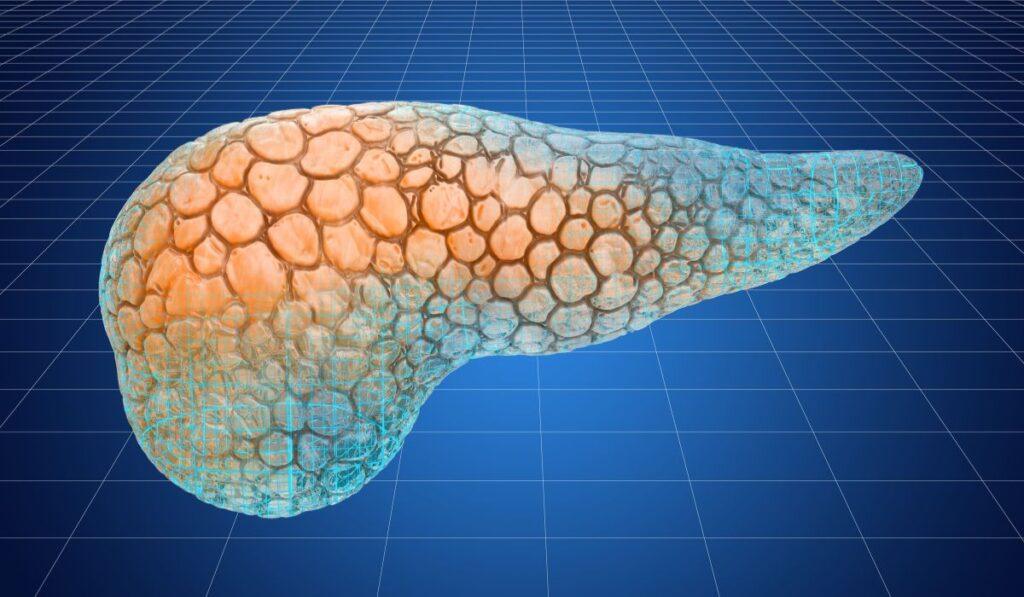 Tumore al pancreas