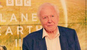 David Attenborough ha creato la Green Hollywood