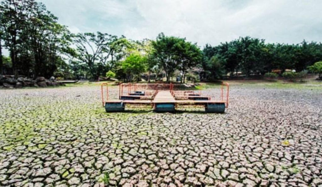 El Niño