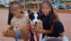 Indagini su sim clandestine nel caso delle due sorelline scomparse da Civitella Alfedena