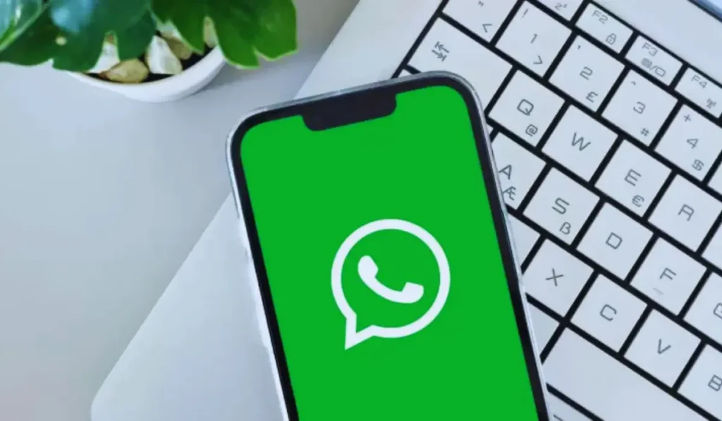 WhatsApp logo con icona username o nickname