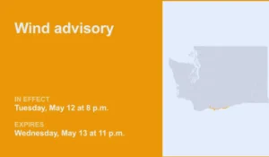 Windy applicazione meteo con previsioni del vento forte