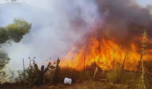 Soccorsi e vigili del fuoco su vasto rogo in contrada Mimiani San Cataldo