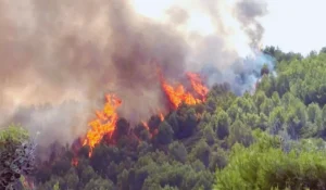 Imbarcazioni della Guardia costiera durante l’evacuazione dei turisti a Peschici